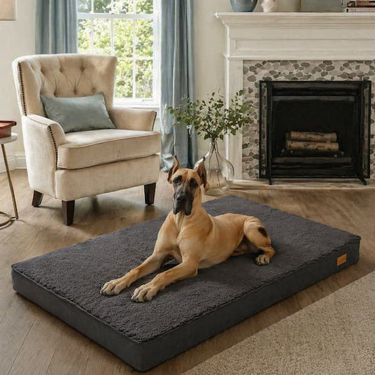 large dog resting comfortably on thick orthopedic support dog bed at home