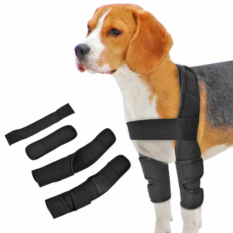 Pair of black reinforced dog knee braces with Velcro and steel inserts – joint support gear for injury recovery and arthritis relief