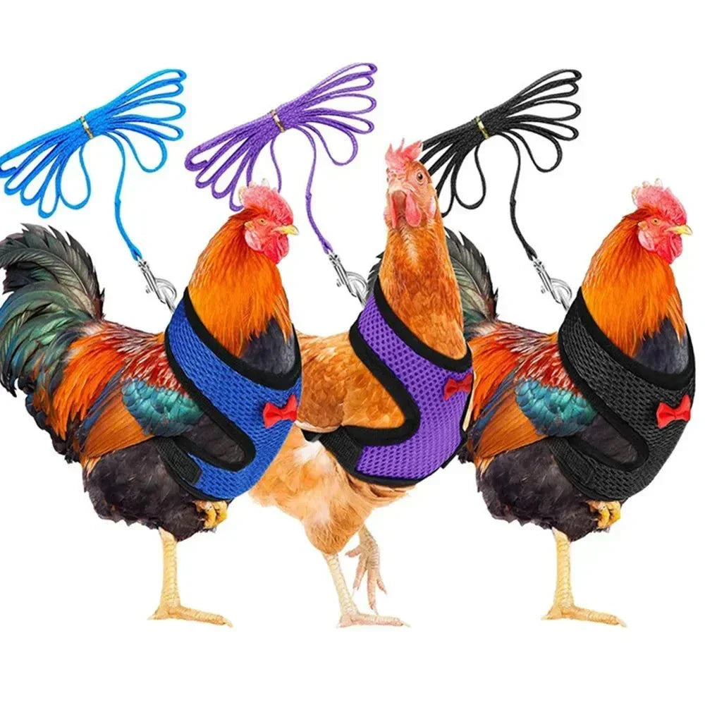 Pet adjustable harness leash set for chickens and small pets, breathable and comfortable design.