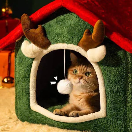 Cat inside a green pet house with reindeer antlers on a dark background