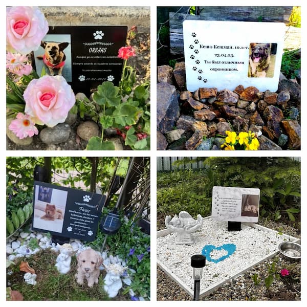 Collage of pet memorials with flowers, stones, and photos in various settings.