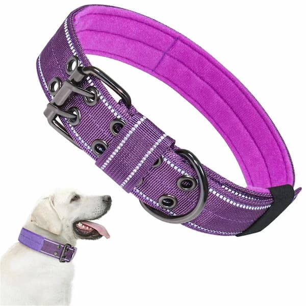 Purple dog collar with reflective stripes on a white background