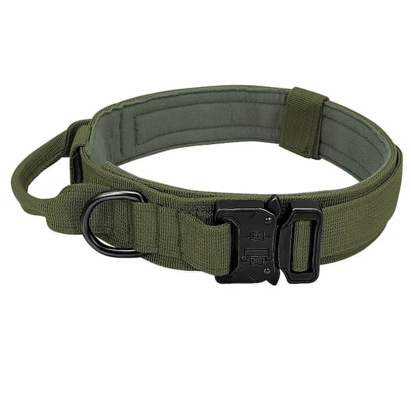 Green tactical dog collar with a black buckle on a white background