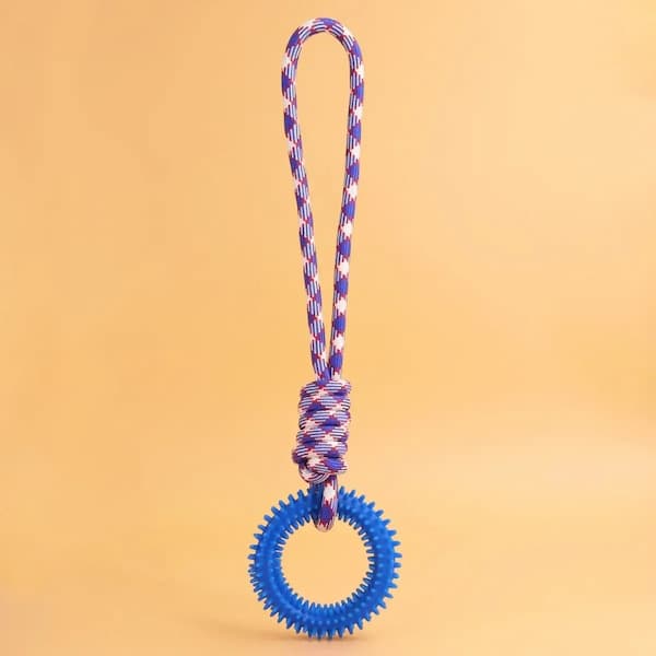 Blue dog toy with a rope on a beige background