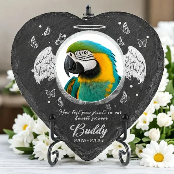 Heart-shaped slate plaque with a parrot illustration and engraved text, surrounded by flowers.
