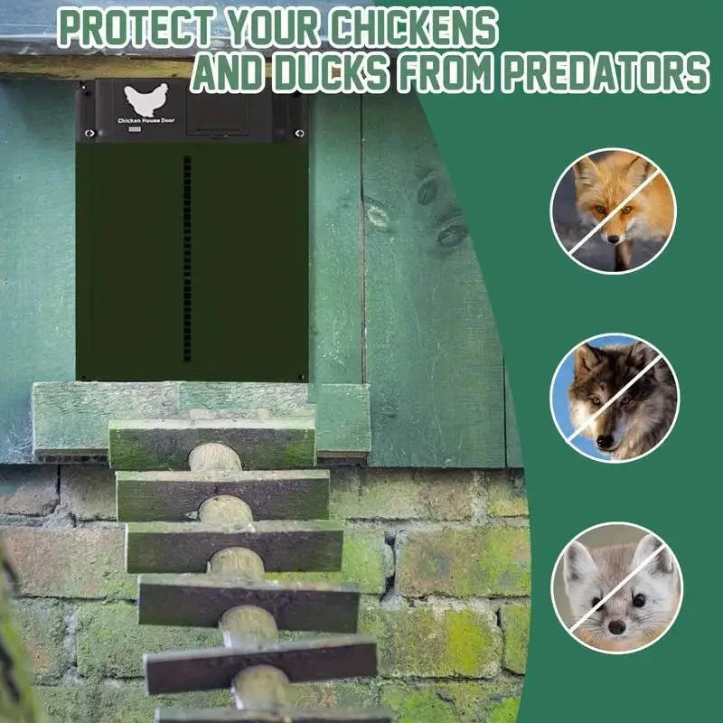 Battery-operated poultry door that opens and closes with sunrise and sunset.