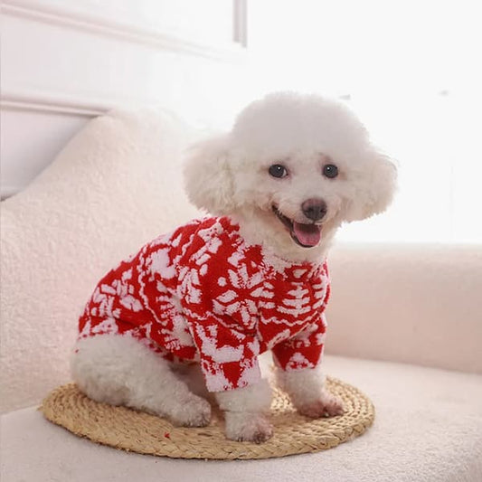 White dog wearing a red and white patterned sweater on a light-colored surface.