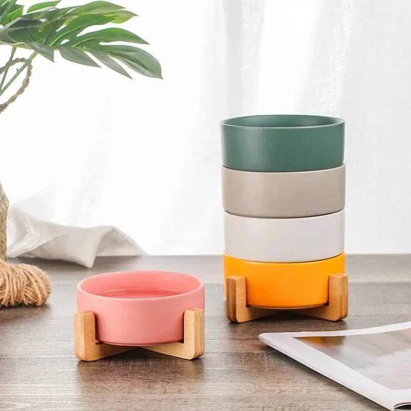 Modern Ceramic Pet Feeding Dish with Food & Water Bowls