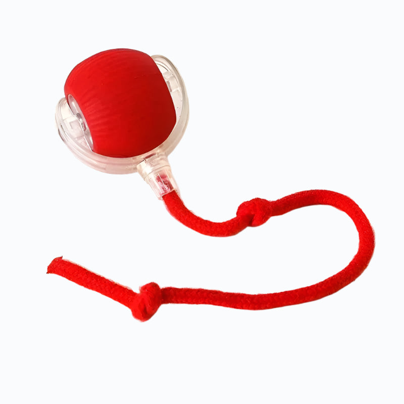 Rechargeable Smart Pet Interactive Rolling Ball Toy for Cats & Dogs