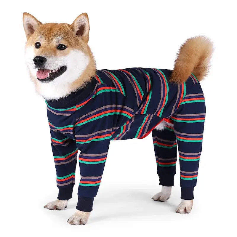 "Dog in striped recovery suit – breathable, washable dog bodysuit for aftercare"