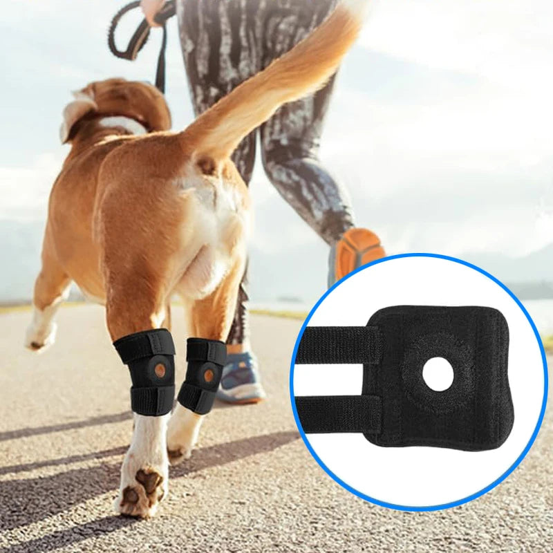 "Dog leg comfort pads for active pets - breathable support accessories"