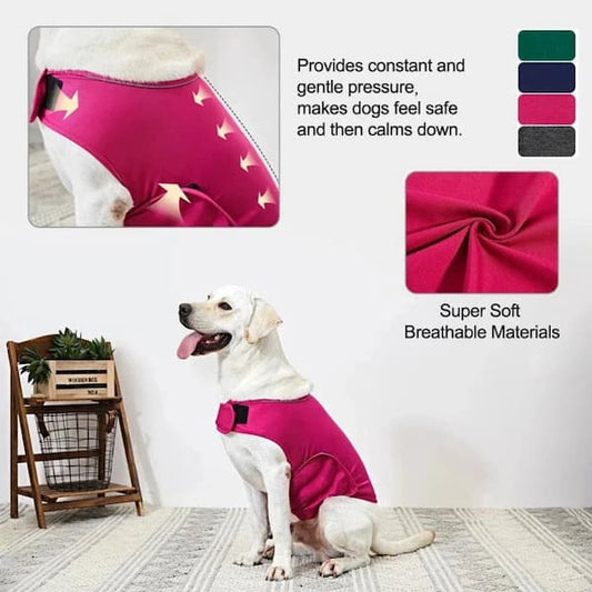 Dog wearing a pink calming vest with text about its benefits and material properties.
