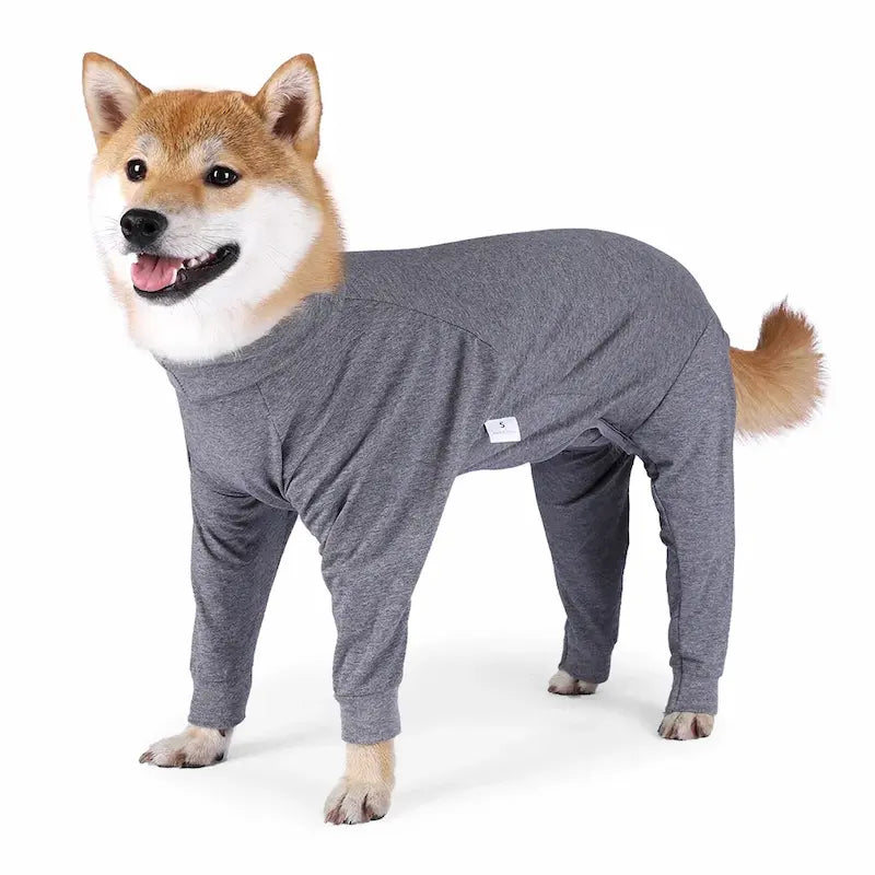 Large dog wearing grey recovery suit – soft post-surgery bodysuit for dogs