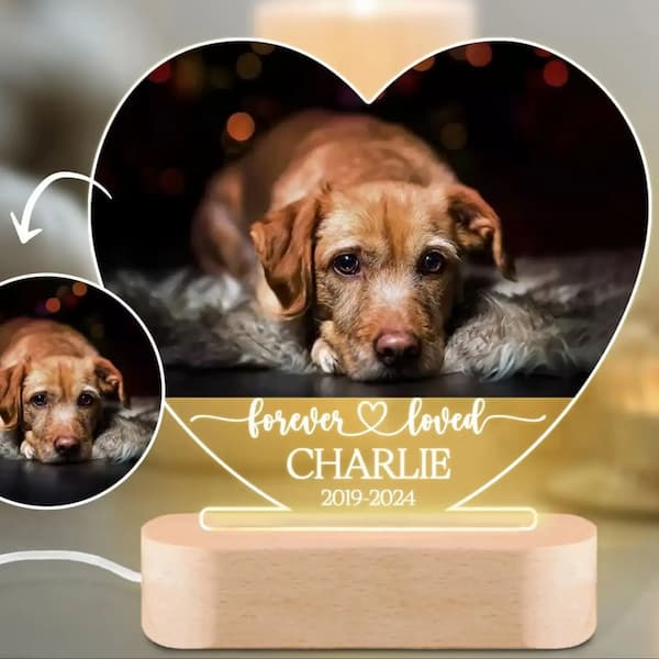 Custom engraved pet memorial night light – 7-color LED acrylic plaque with pet photo, name, and heartfelt design for remembrance or gifting.