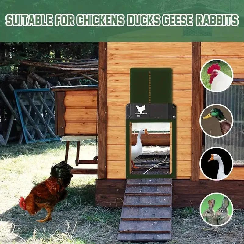 Battery-operated poultry door that opens and closes with sunrise and sunset.