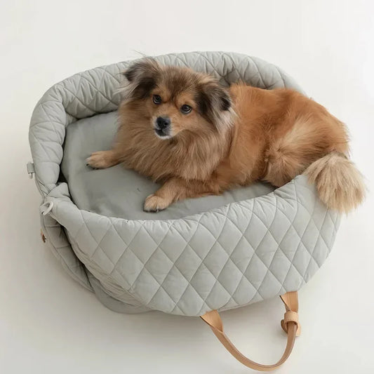 Dog sitting comfortably in luxury pet tote booster seat on a summer road trip