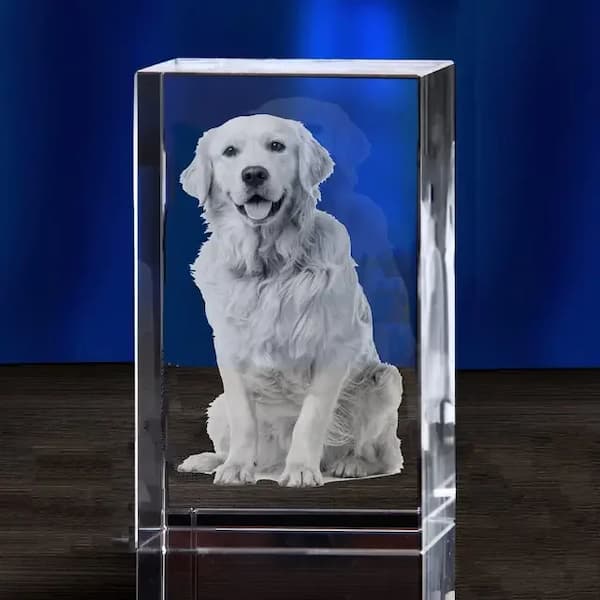 Clear crystal block with a photo of a white dog on a blue background