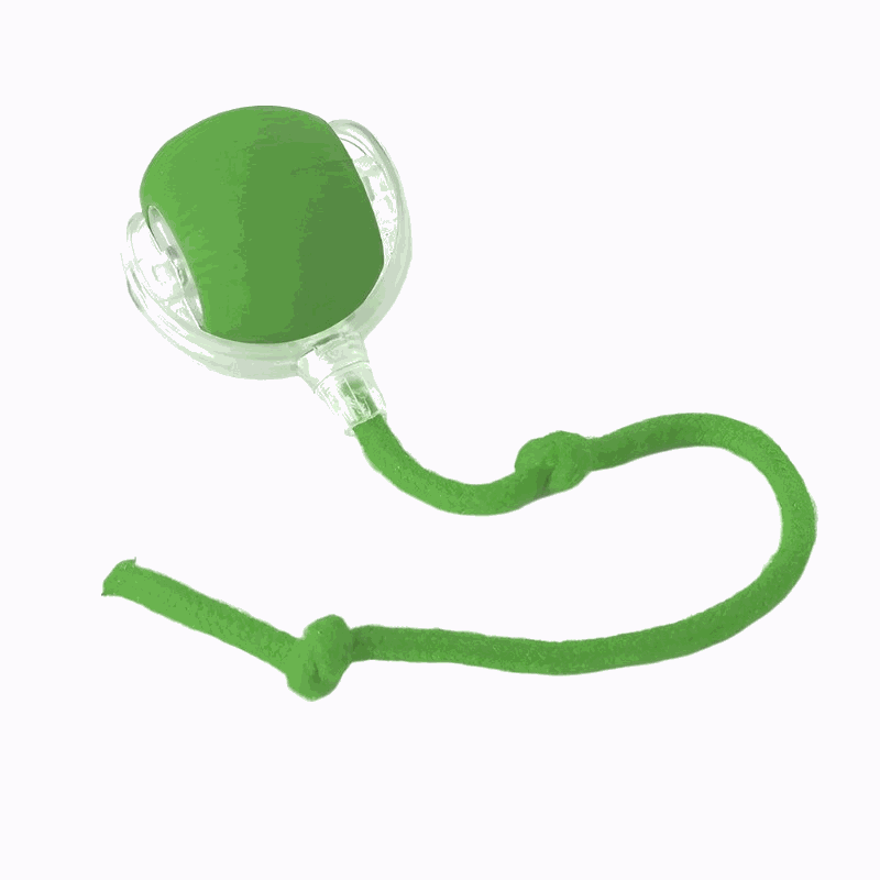Rechargeable Smart Pet Interactive Rolling Ball Toy for Cats & Dogs