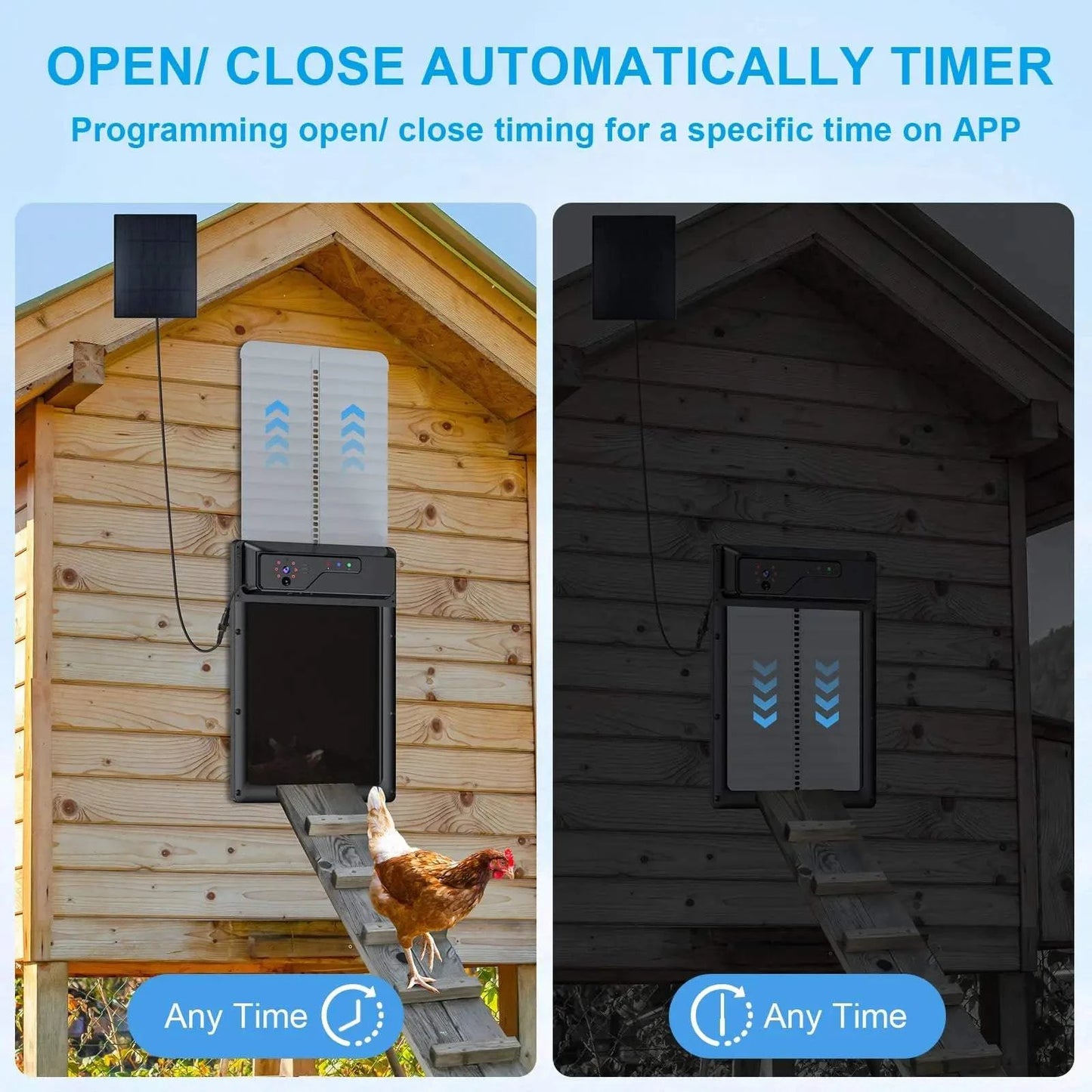 Close-up of 1080P night vision camera with alarm sensor on chicken door.