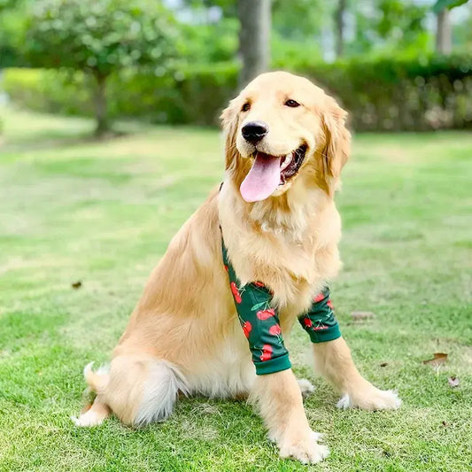 Dog wearing a striped elbow sleeve – soft, breathable support for joint care and recovery