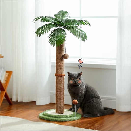 Cat sitting next to a cat tree with a palm tree design in a room with white curtains and wooden floor.