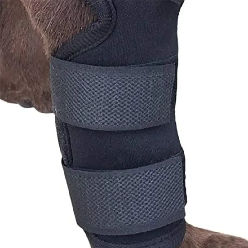 Pair of black adjustable dog knee braces – joint support pads for front or rear legs, suitable for small to large breeds