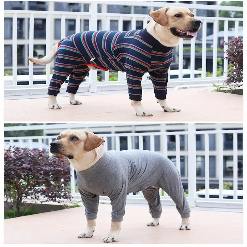 Dog Recovery Suit – Soft, Washable Bodysuit for Pet Comfort & Cleanliness
