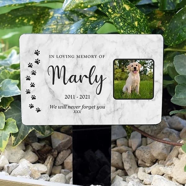 Custom Pet Memorial Garden Stake with Personalized Photo and Name – Grave Marker for Dog or Cat Loss