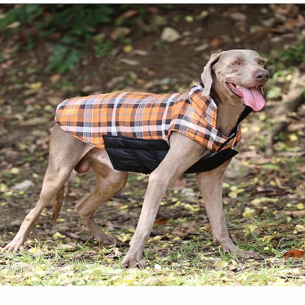 Reversible Dog Jacket – Waterproof Quilted Winter Coat | Checked Warm Vest for Small & Large Dogs