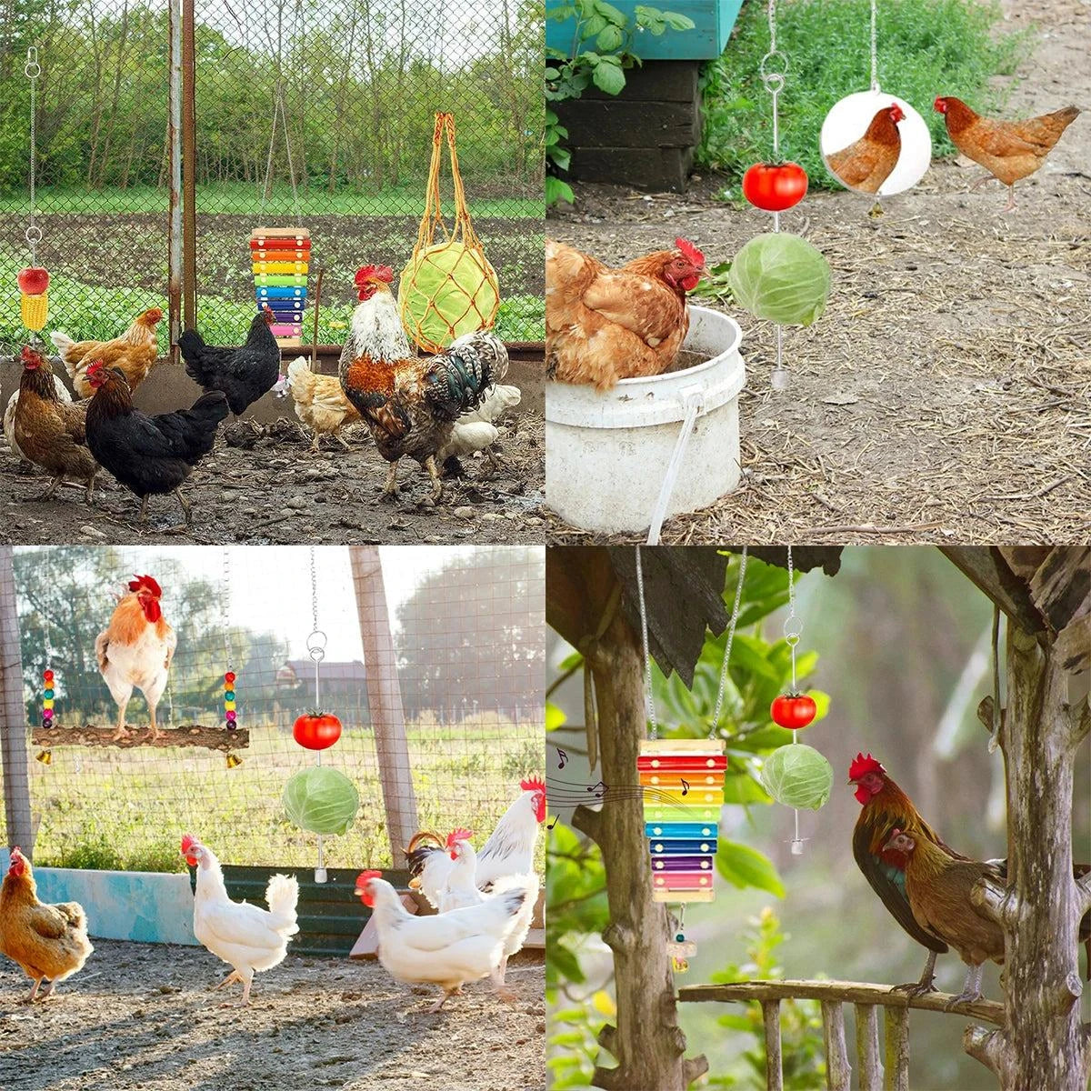 6-piece chicken enrichment toy set with swing, xylophone, veggie feeder, and more