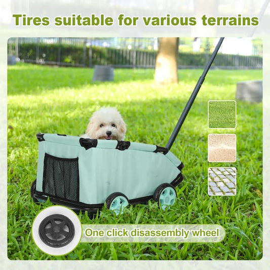 Small brown puppy sitting in a mint green lightweight 4-wheel pet stroller