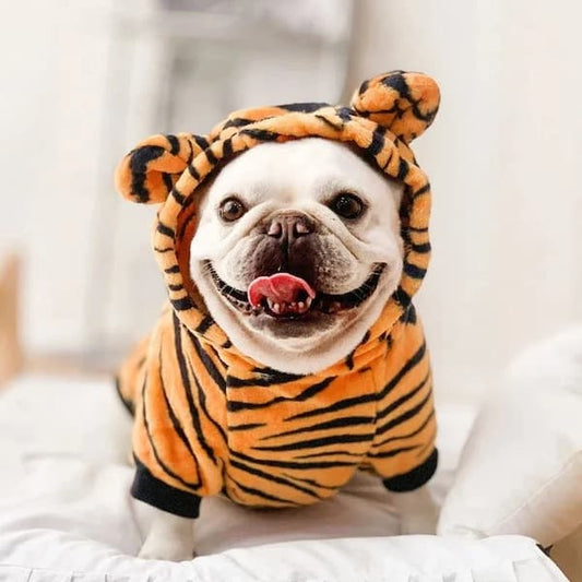 Soft warm Chihuahua fleece hoodie pajamas