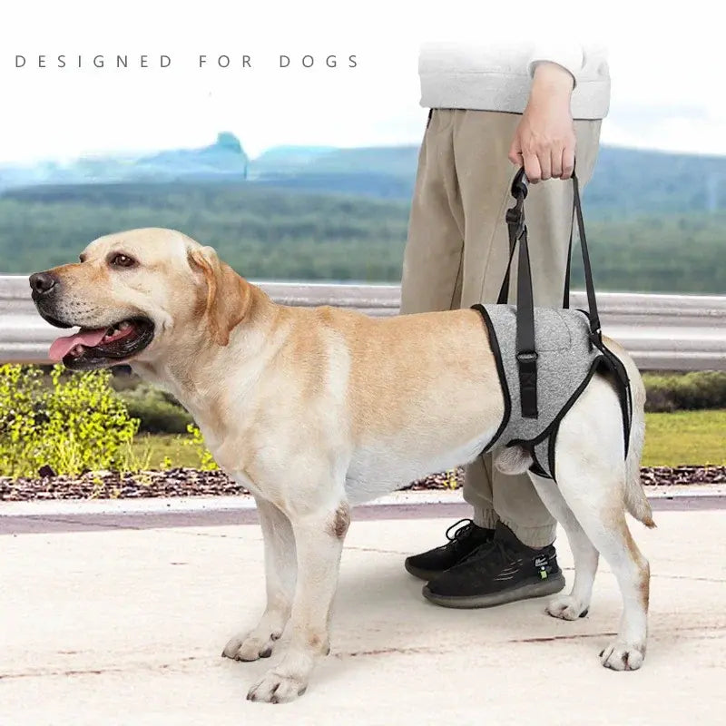 Adjustable rear leg lift harness for senior dogs