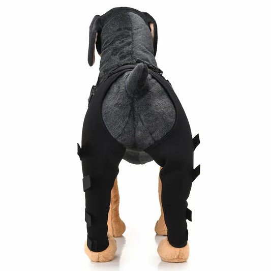 Dog wearing rear leg support brace – black adjustable wrap for mobility and joint comfort