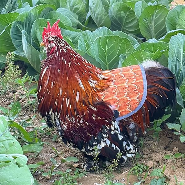 chicken saddle for hens feather protection anti pecking apron poultry back protector breathable hen jacket