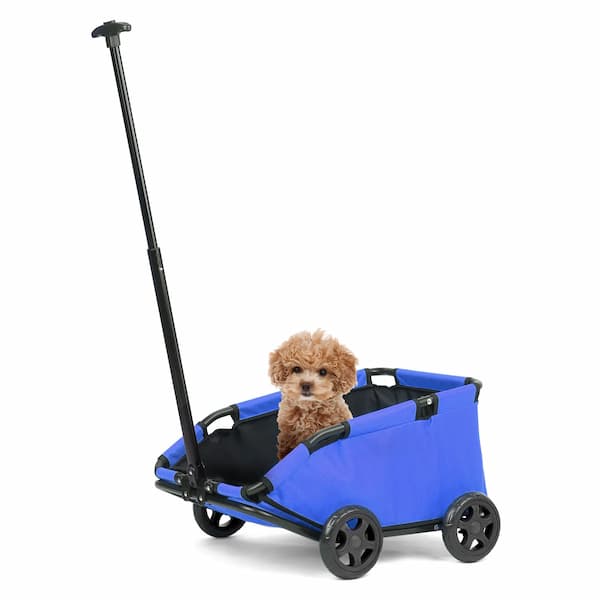 Blue pet stroller with a small dog inside on a white background