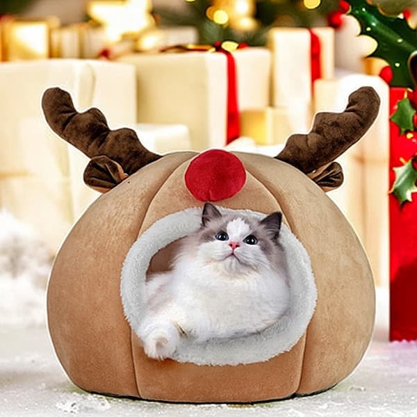 Cat lying in a reindeer-shaped pet bed with Christmas decorations in the background