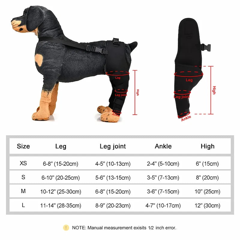 Dog wearing rear leg support brace – black adjustable wrap for mobility and joint comfort
