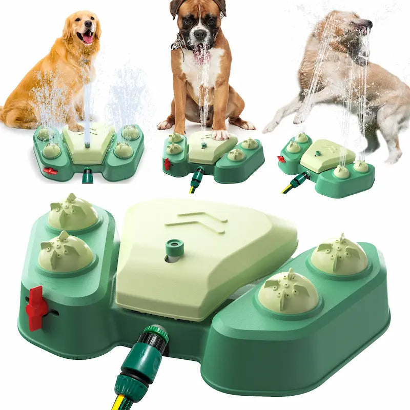 Large dog playing with green step-on sprinkler toy outdoors in summer