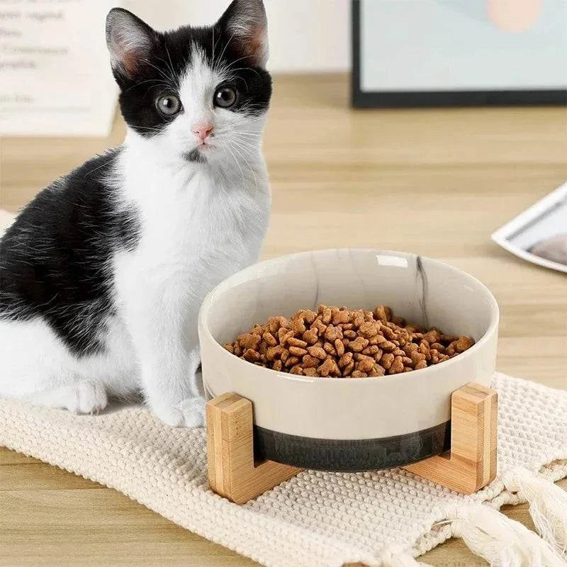 Non-Slip Elevated Pet Bowl for Cats & Small Dogs