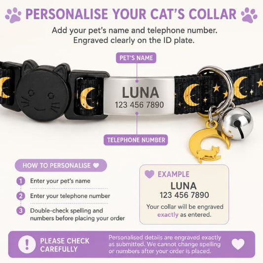 Personalised cat collar engraving guide showing pet name and telephone number on silver ID plate