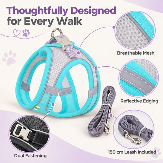 Light blue reflective dog harness and matching leash showing breathable mesh, reflective edging, dual fastening and 150 cm leash.