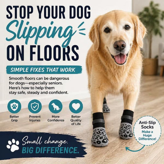 how to stop dog slipping on floors anti slip dog socks for senior dogs