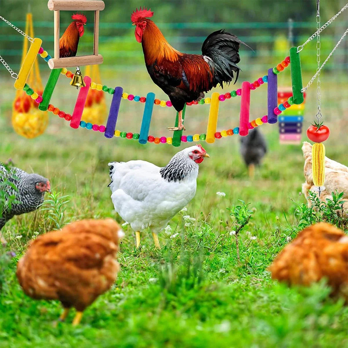 Happy hen essentials - Jo's Pet Deals