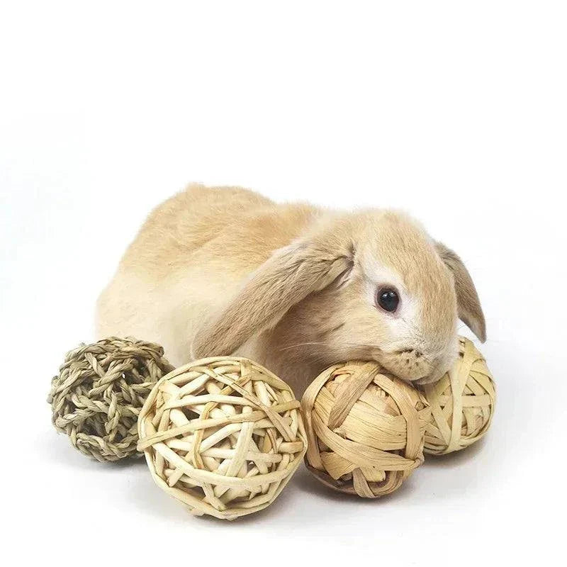 Rabbit, Guinea Pigs & Small Pet Products - Beds, Toys & more