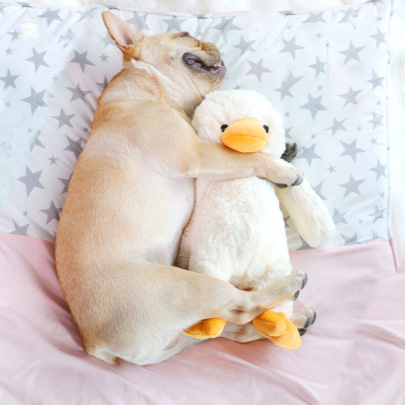 Dog cuddling a plush duckling vocal toy on a star-patterned pillow.