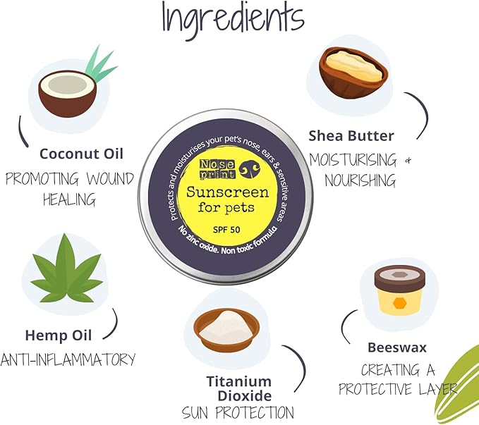Noseprint SPF 50 Pet Balm – non-toxic sunscreen balm for dogs and cats, protects nose and sensitive skin, available on Amazon UK.
