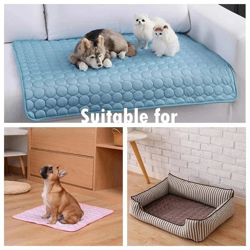 Durable cooling mat for small and large dogs, featuring non-toxic materials, ideal for summer use as a bed, blanket, or sofa accessory.