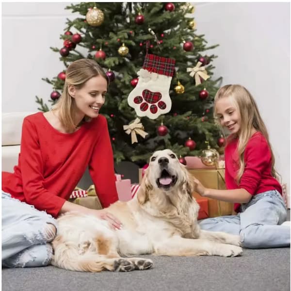 Two women and a dog sitting in front of a Christmas tree with decorations.