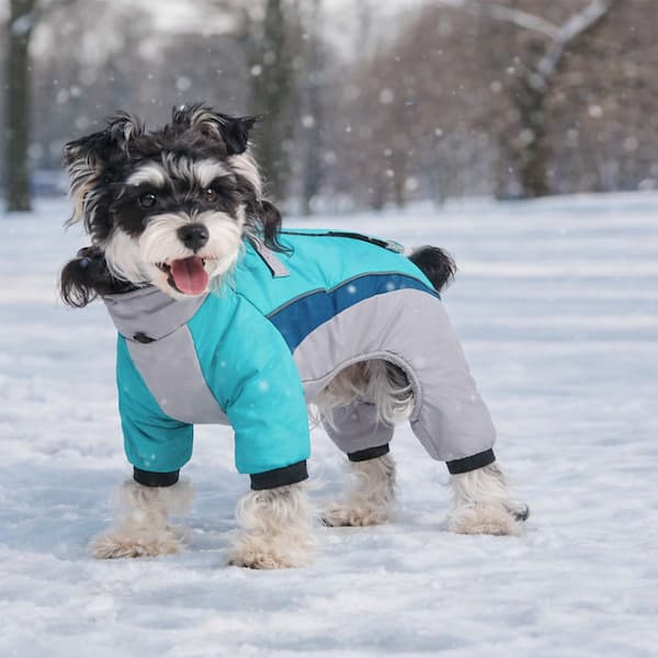 Winter dog jumpsuit waterproof coat for small to large dogs sizes S to 3XL